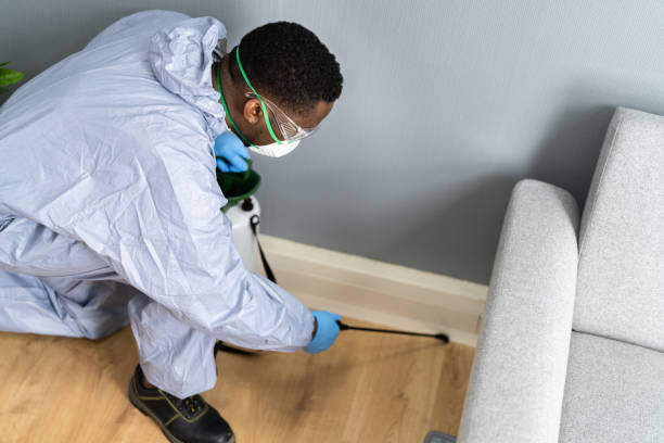 Professional Pest Control in Yanceyville, NC